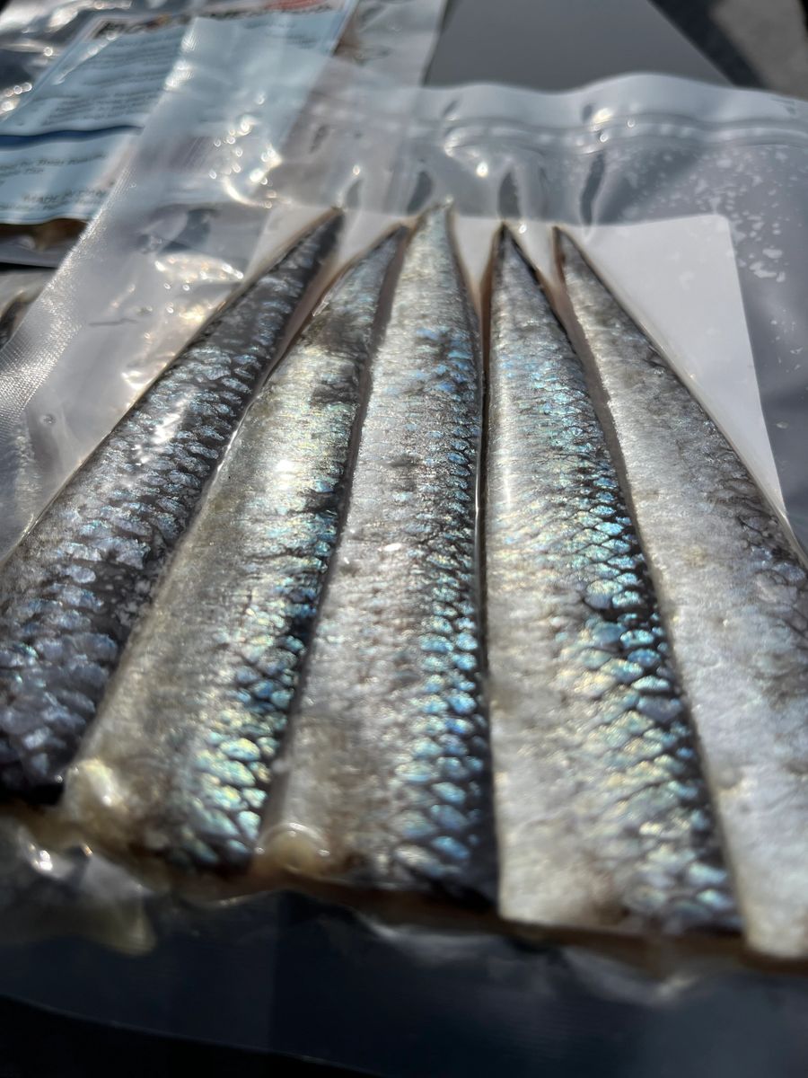 60 pcs CASE NATURAL PACIFIC HERRING